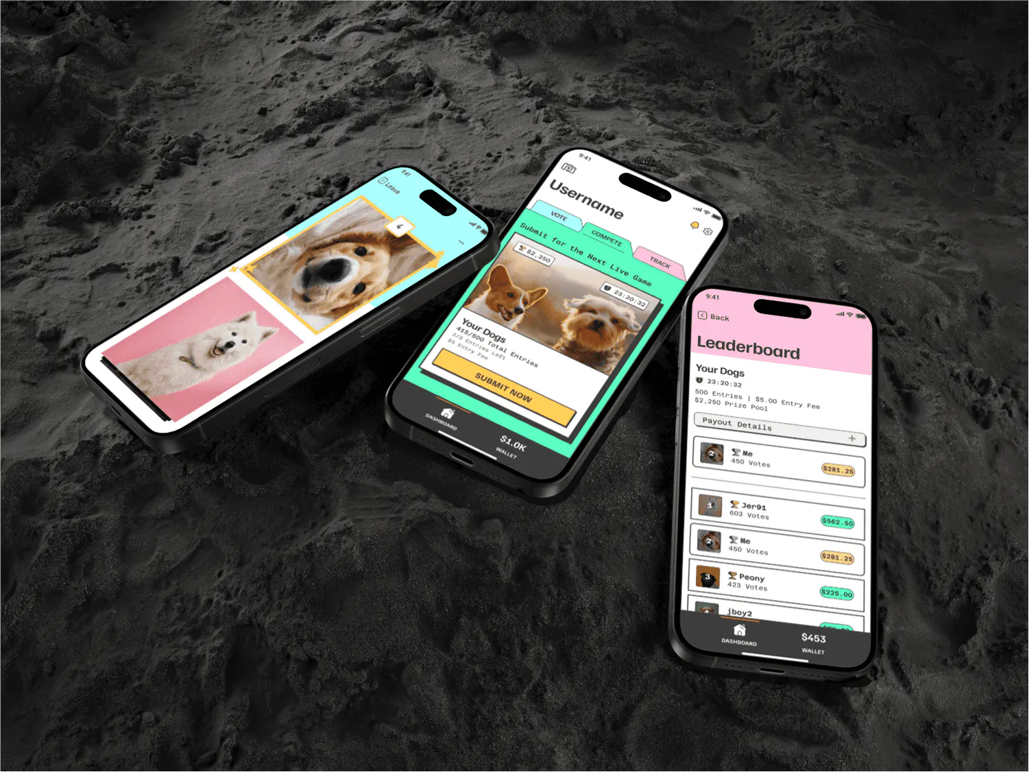 Three PikMe phone screens lying on dark sand: vote, compete and leaderboard